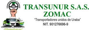 Transunur